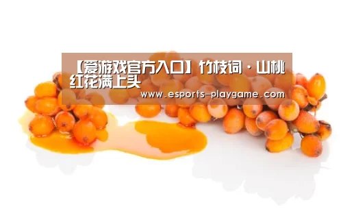 爱游戏官方入口