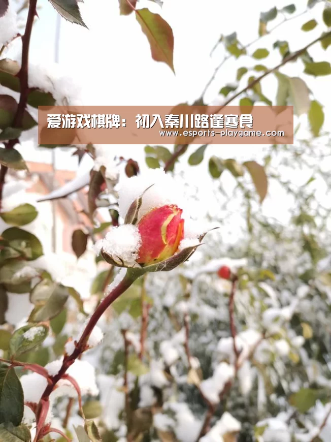 爱游戏棋牌