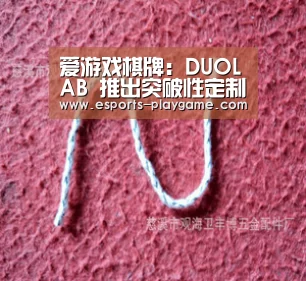 爱游戏体育官网
