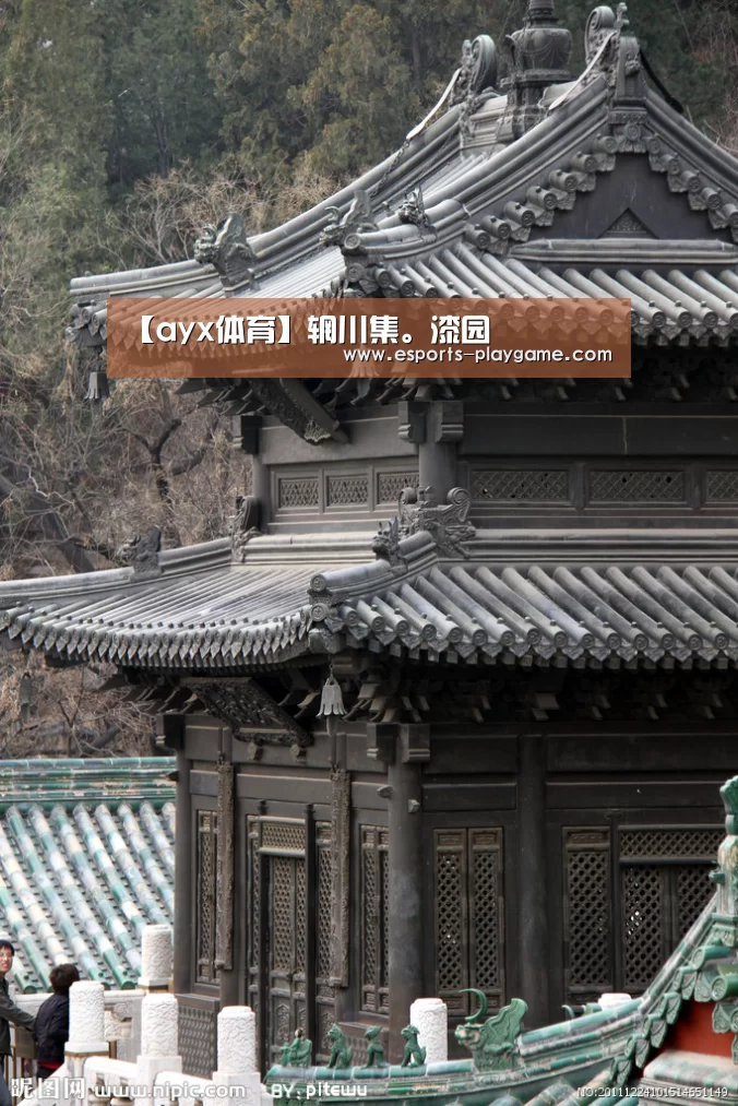 爱游戏官方入口