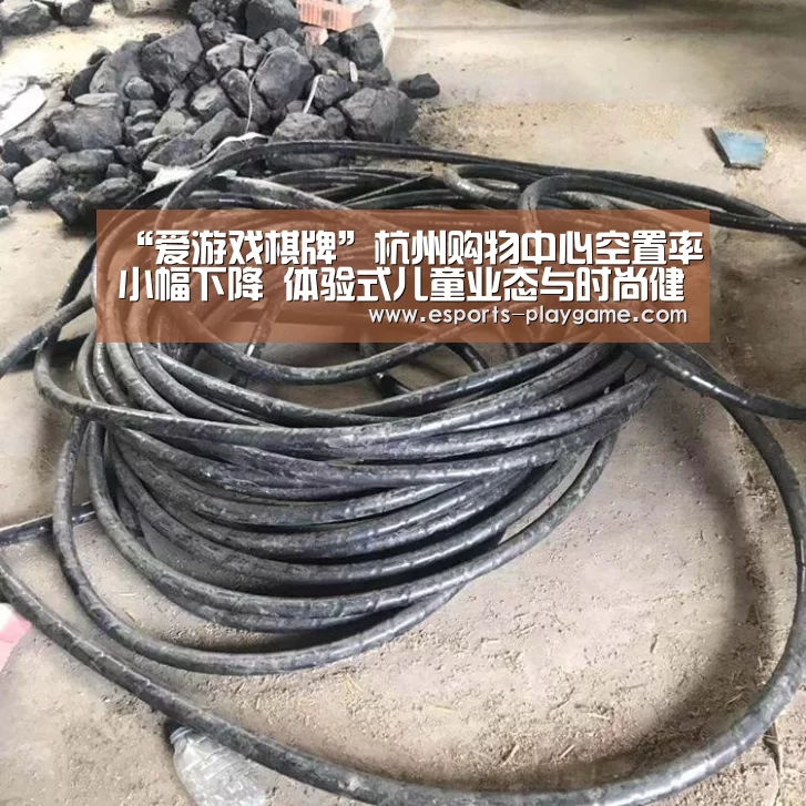 “爱游戏棋牌”杭州购物中心空置率小幅下降 体验式儿童业态与时尚健康餐饮盛行(图1) 爱游戏体育官网
