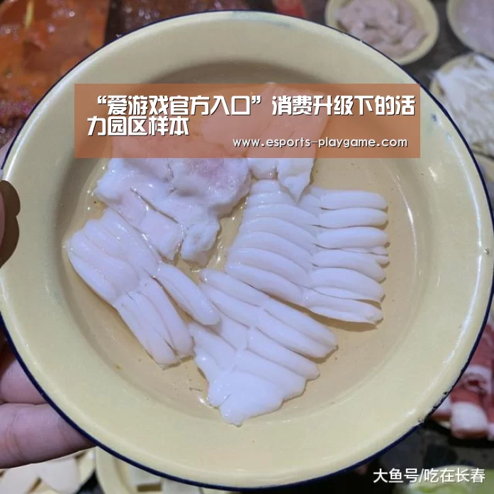 爱游戏体育官网